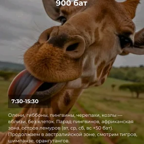 Кхао Кхео лучьшый зоопарк Азии